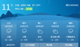 南通快递最新爆料,揭秘行业变革与未来趋势